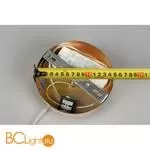 Подвесной светильник Aployt Danuta APL.035.06.25 - Фото 14