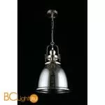 Подвесной светильник Aployt Darunia APL.629.06.01 - Фото 6