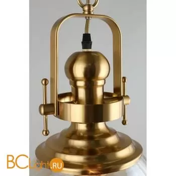 Подвесной светильник Aployt Darunia APL.629.16.01 - Фото 3