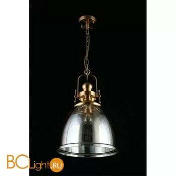 Подвесной светильник Aployt Darunia APL.629.16.01 - Фото 6