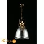 Подвесной светильник Aployt Darunia APL.629.16.01 - Фото 6