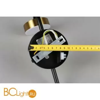 Бра Aployt Delayn APL.042.01.07 - Фото 8