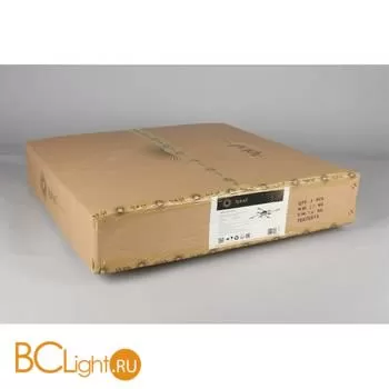 Люстра Aployt Delayn APL.042.07.56 - Фото 11