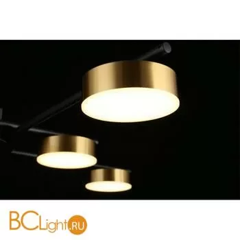 Люстра Aployt Delayn APL.042.07.56 - Фото 8