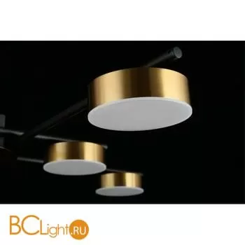 Люстра Aployt Delayn APL.042.07.56 - Фото 9