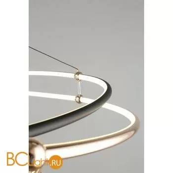 Подвесной светильник Aployt Diana APL.034.03.120 - Фото 6