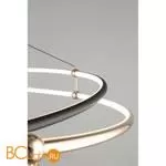 Подвесной светильник Aployt Diana APL.034.03.120 - Фото 6