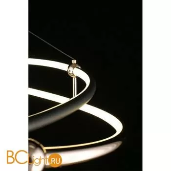 Подвесной светильник Aployt Diana APL.034.03.40 - Фото 10