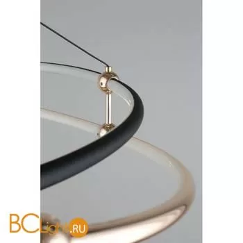 Подвесной светильник Aployt Diana APL.034.03.40 - Фото 5