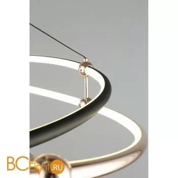 Подвесной светильник Aployt Diana APL.034.03.40 - Фото 4