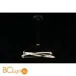 Подвесной светильник Aployt Diana APL.034.03.40 - Фото 7