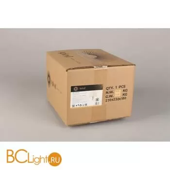 Бра Aployt Dominka APL.722.01.01 - Фото 18