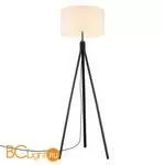 Торшер Aployt Donatin APL.636.05.01