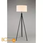 Торшер Aployt Donatin APL.636.05.01 - Фото 1