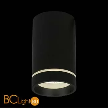 Спот Aployt Edda APL.0054.19.10 - Фото 5