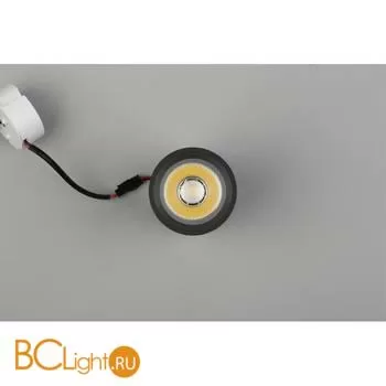 Спот Aployt Edda APL.0054.19.10 - Фото 4