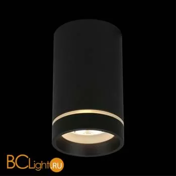 Спот Aployt Edda APL.0053.19.10 - Фото 5