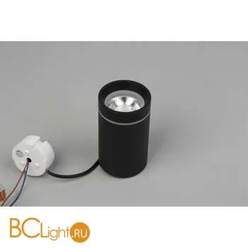 Спот Aployt Edda APL.0053.19.10 - Фото 4