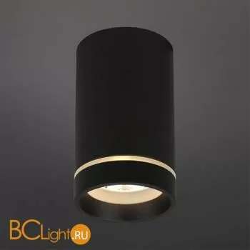 Спот Aployt Edda APL.0053.19.10 - Фото 0