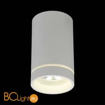 Спот Aployt Edda APL.0054.09.10 - Фото 5