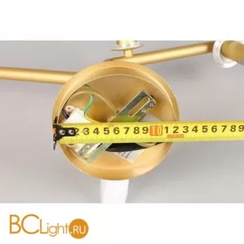 Люстра Aployt Elayn APL.900.07.04 - Фото 12