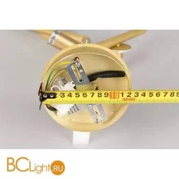 Потолочный светильник Aployt Elayn APL.900.07.03 - Фото 8