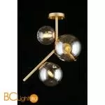 Потолочный светильник Aployt Elayn APL.900.07.03 - Фото 6