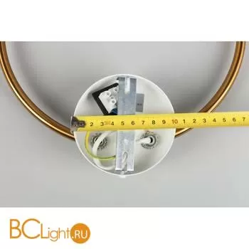 Настенный светильник Aployt Eleonora APL.306.11.02 - Фото 8