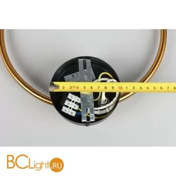 Настенный светильник Aployt Eleonora APL.306.01.02 - Фото 8