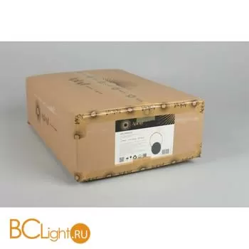 Настенный светильник Aployt Eleonora APL.306.01.02 - Фото 9