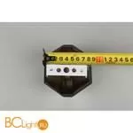 Бра Aployt Elinor APL.801.11.02 - Фото 16