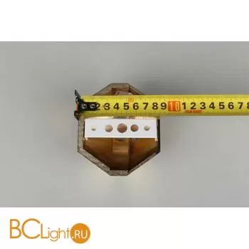 Бра Aployt Elinor APL.801.01.02 - Фото 16