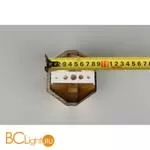 Бра Aployt Elinor APL.801.01.02 - Фото 16