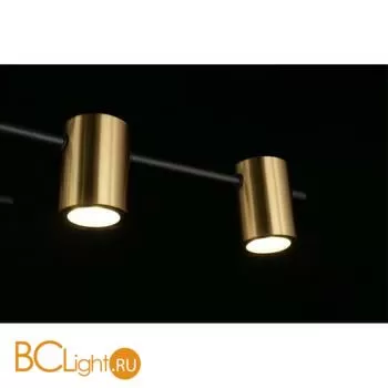 Потолочный светильник Aployt Elwisia APL.633.07.10 - Фото 8