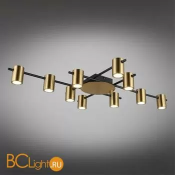 Потолочный светильник Aployt Elwisia APL.633.07.10 - Фото 0