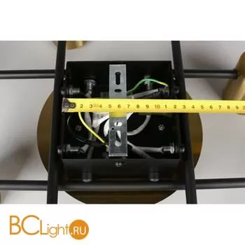 Потолочный светильник Aployt Elwisia APL.633.07.10 - Фото 10