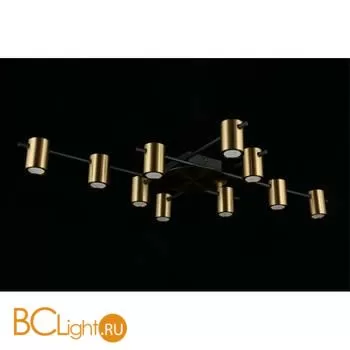 Потолочный светильник Aployt Elwisia APL.633.07.10 - Фото 6