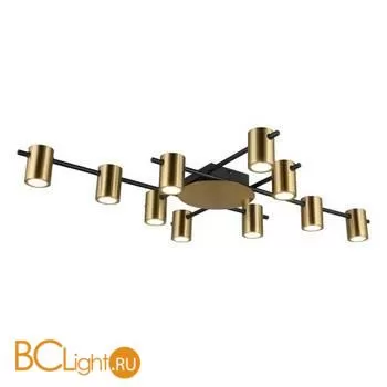 Потолочный светильник Aployt Elwisia APL.633.07.10