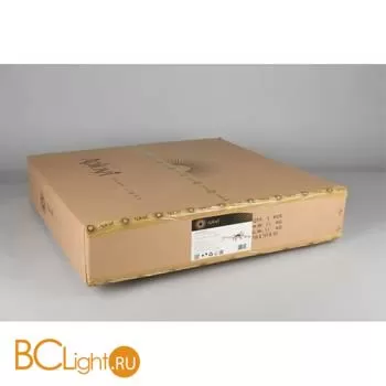 Потолочный светильник Aployt Elwisia APL.633.07.10 - Фото 11