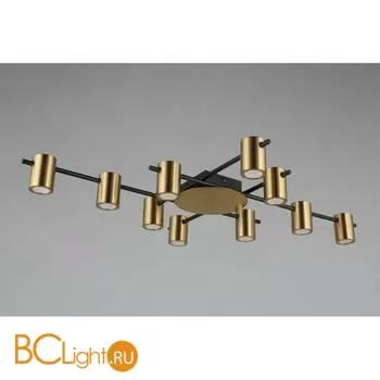 Потолочный светильник Aployt Elwisia APL.633.07.10 - Фото 1