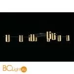 Потолочный светильник Aployt Elwisia APL.633.07.10 - Фото 7