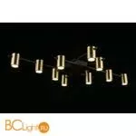 Потолочный светильник Aployt Elwisia APL.633.07.10 - Фото 5