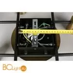 Потолочный светильник Aployt Elwisia APL.633.07.10 - Фото 10