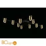 Потолочный светильник Aployt Elwisia APL.633.07.10 - Фото 6