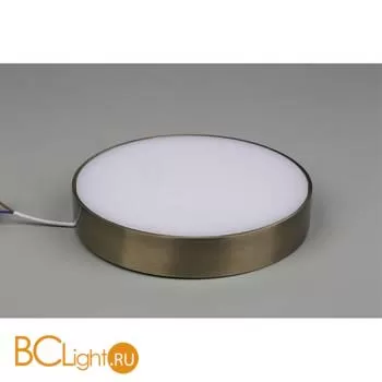 Потолочный светильник Aployt Evon APL.0114.29.24 - Фото 3