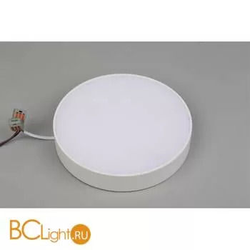 Потолочный светильник Aployt Evon APL.0114.09.24 - Фото 2