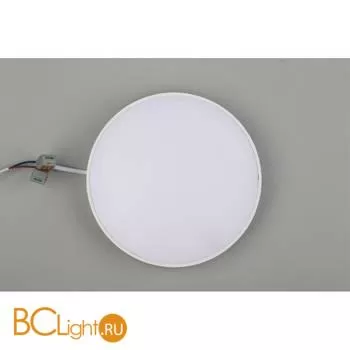 Потолочный светильник Aployt Evon APL.0114.09.24 - Фото 5