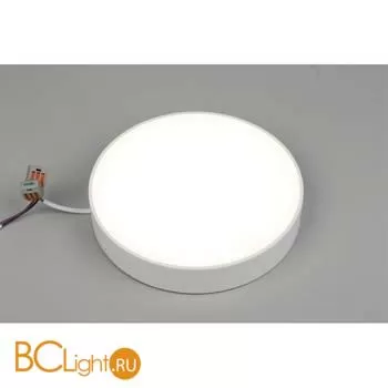 Потолочный светильник Aployt Evon APL.0114.09.24 - Фото 1