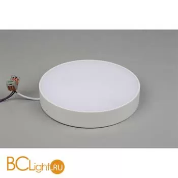 Потолочный светильник Aployt Evon APL.0114.09.24 - Фото 3