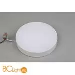 Потолочный светильник Aployt Evon APL.0114.09.24 - Фото 2